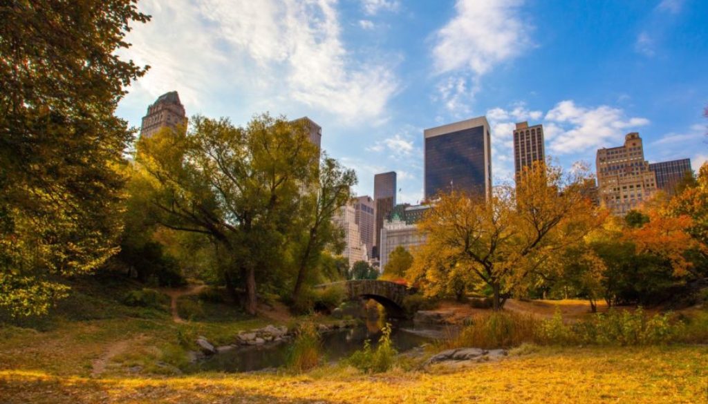 Passives Einkommen durch das Investieren in amerikanische Immobilien