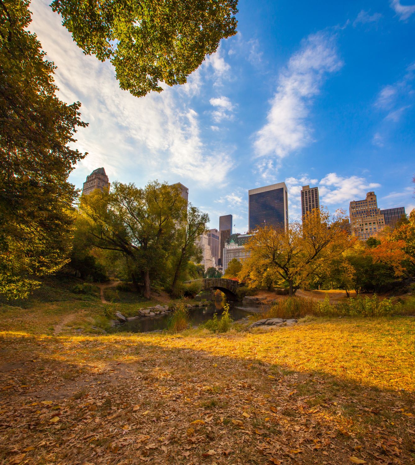 Real Estate New York Passives Einkommen durch das Investieren in amerikanische Immobilien